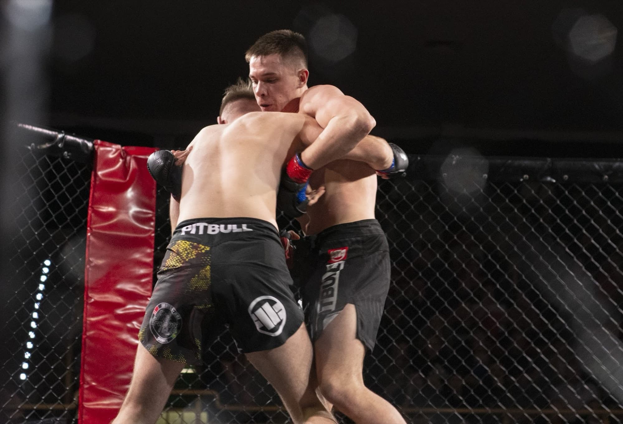 Maks Danielec - walka MMA