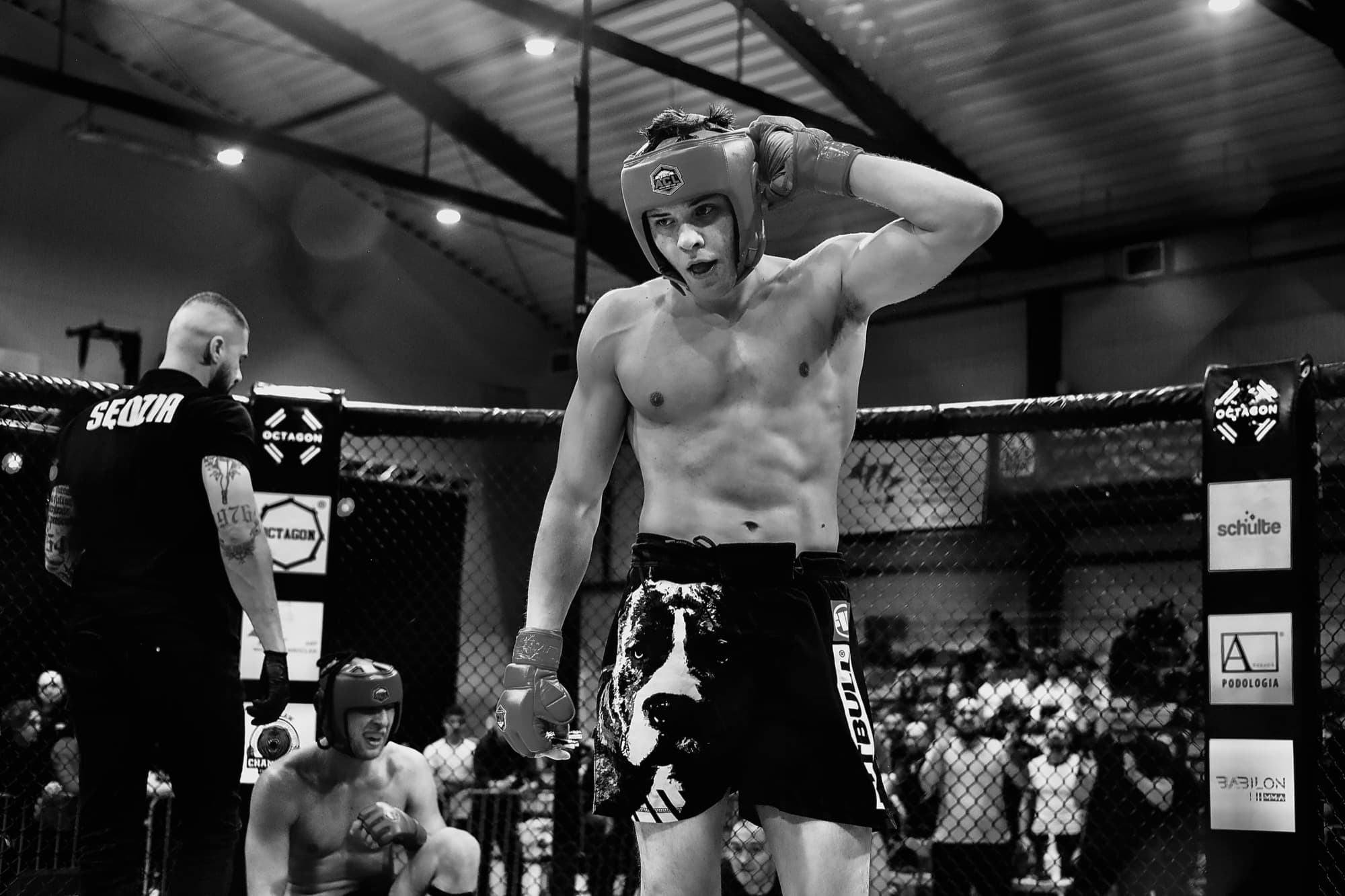 Maks Danielec w klatce podczas gali MMA